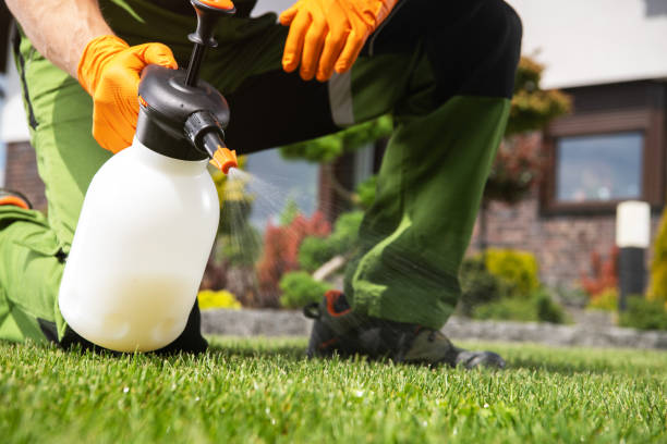 Reliable Gun Barrel City, TX Pest Control Solutions